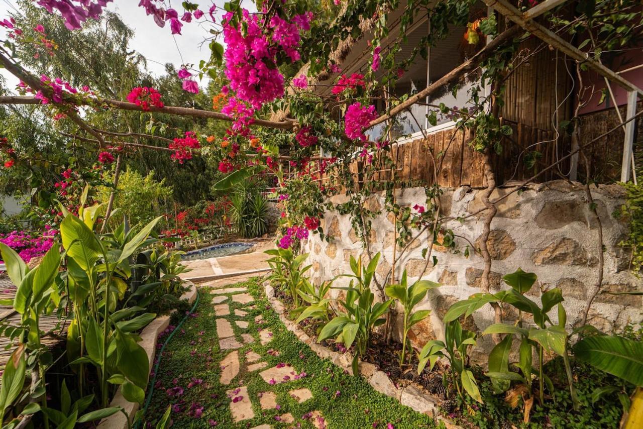Begonvilla Bungalows เฟทิเย ภายนอก รูปภาพ